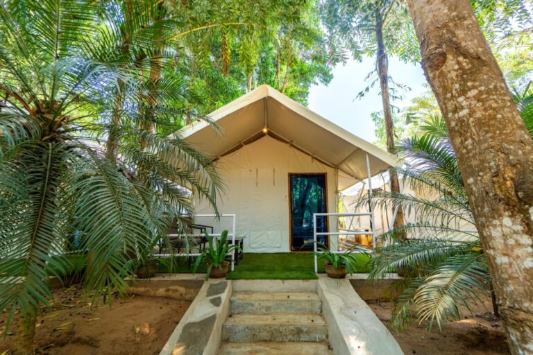 century resort dandeli