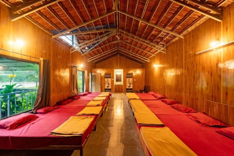 Eco green Forest Stay