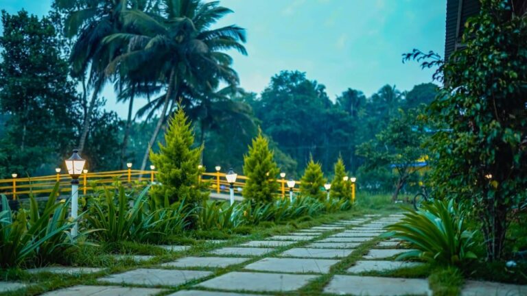 Eco green Forest Stay