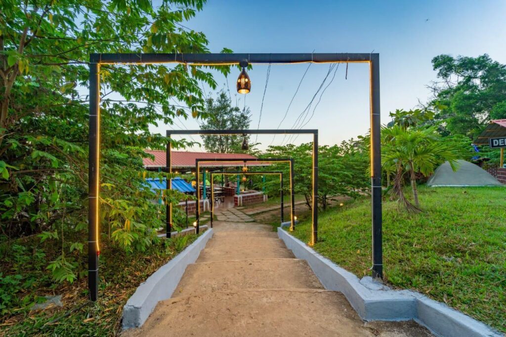 Power star Jungle Stay