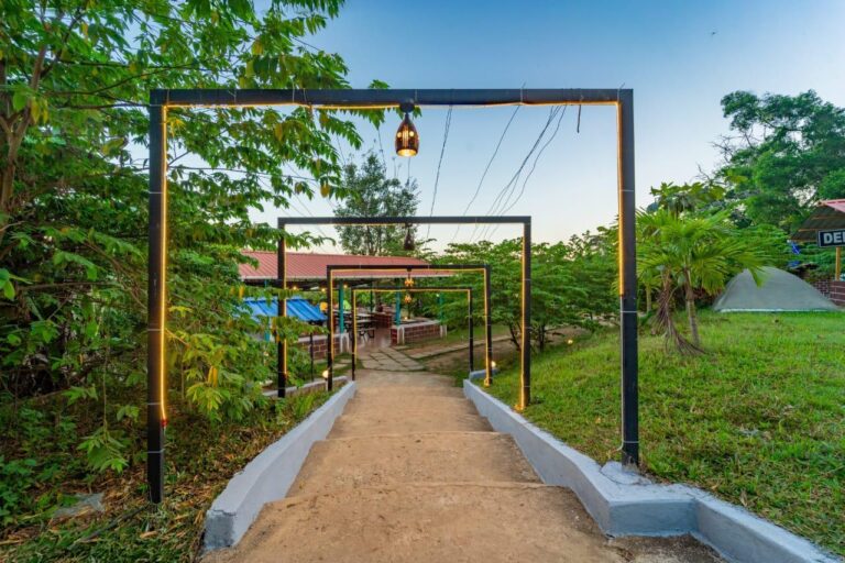 Power star Jungle Stay