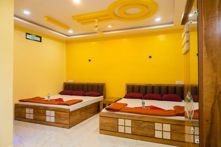 Power star Jungle Stay