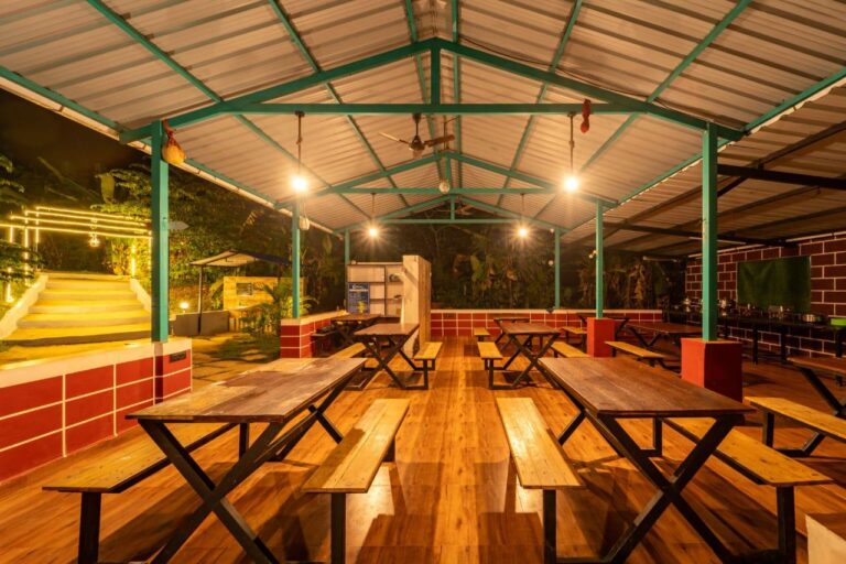 Power star Jungle Stay