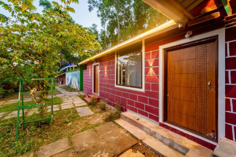 Power star Jungle Stay