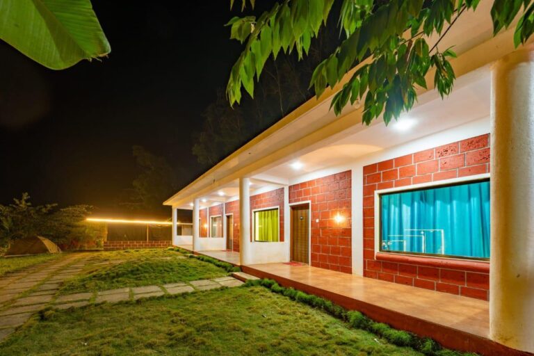 Power star Jungle Stay