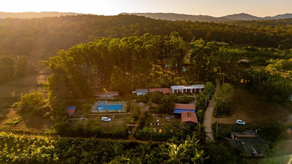 Power star Jungle Stay