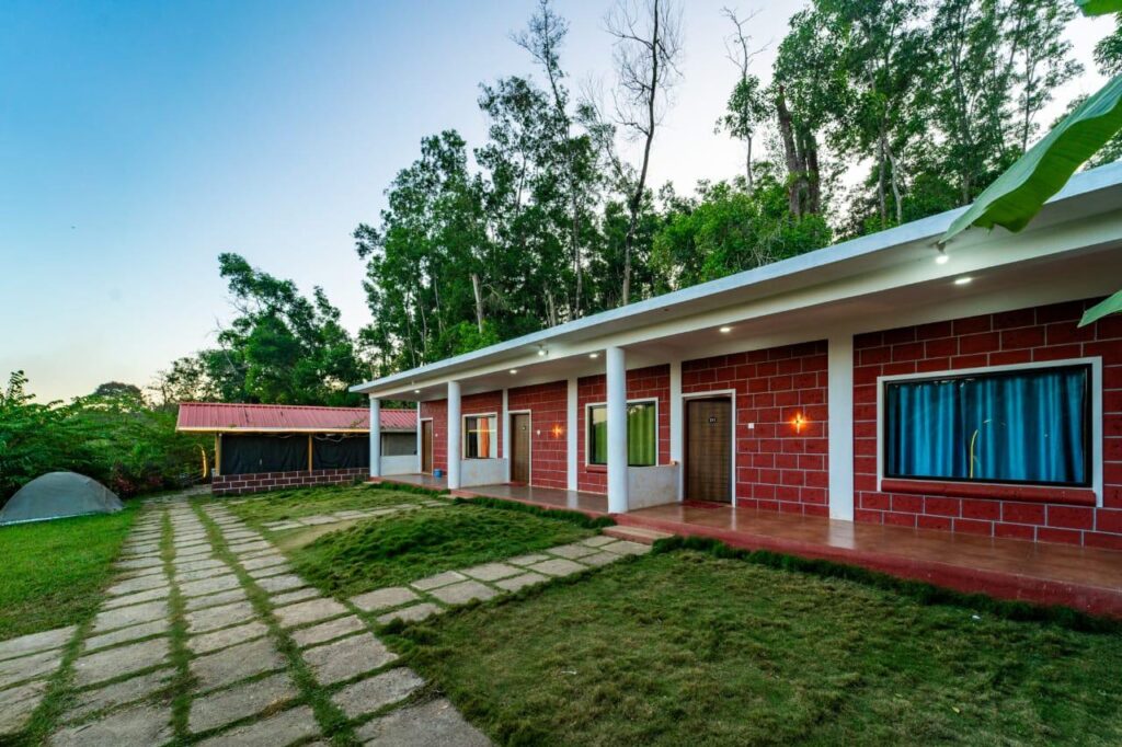 Power star Jungle Stay