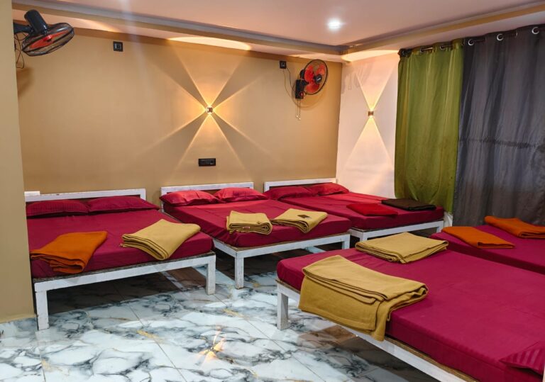 Power star Jungle Stay