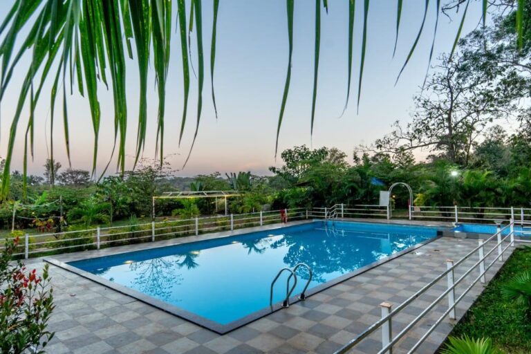 Power star Jungle Stay