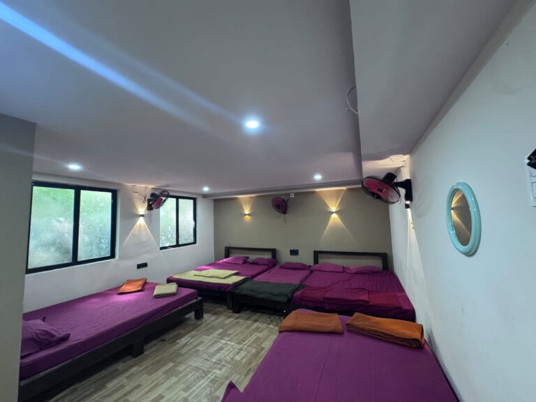 Power star Jungle Stay