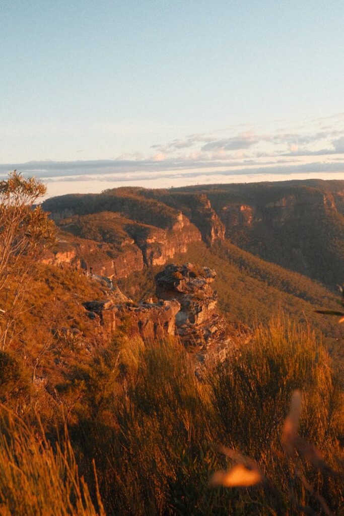 pexels photo 34988572.jpeg