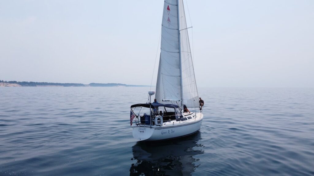 pexels photo 35030755.jpeg