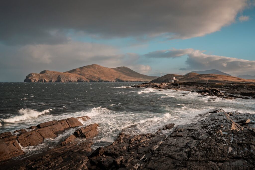 pexels photo 35036864.jpeg