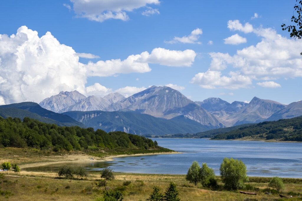 pexels photo 35037814.jpeg